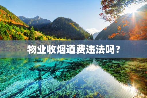 物业收烟道费违法吗？