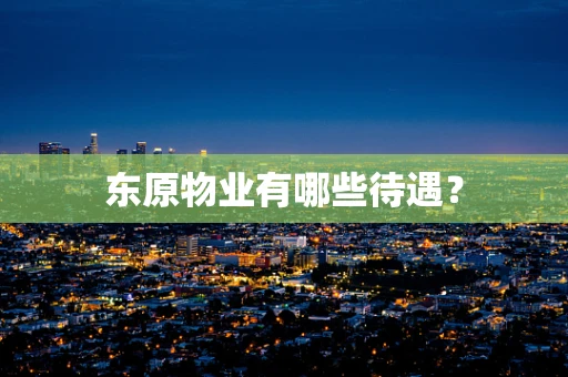 东原物业有哪些待遇？
