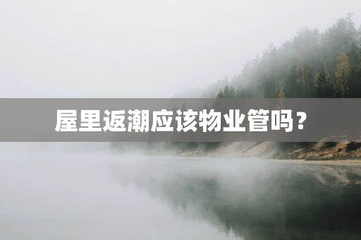 屋里返潮应该物业管吗？