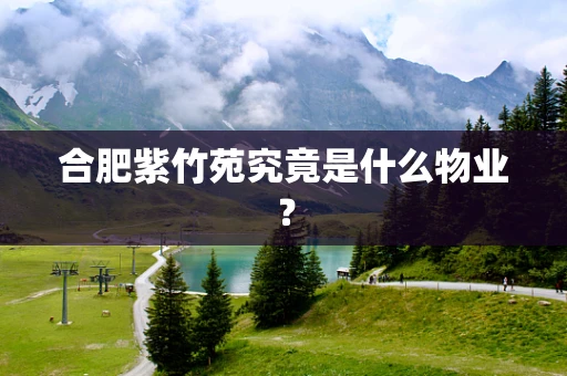 合肥紫竹苑究竟是什么物业？