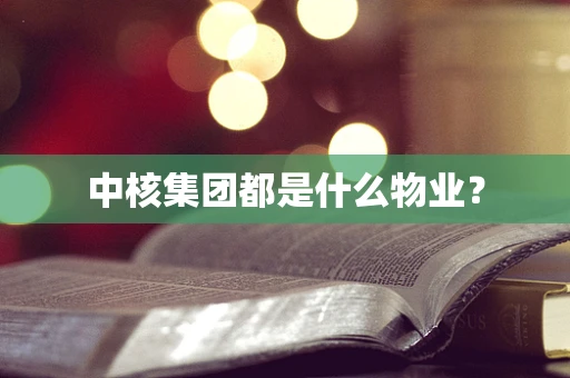 中核集团都是什么物业？