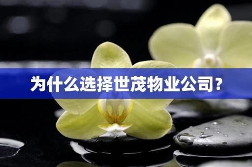 为什么选择世茂物业公司？