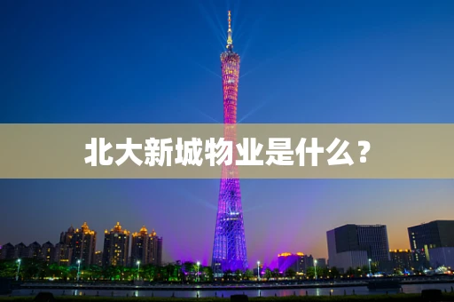 北大新城物业是什么？