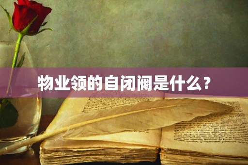物业领的自闭阀是什么？
