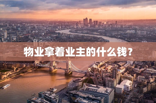 物业拿着业主的什么钱？