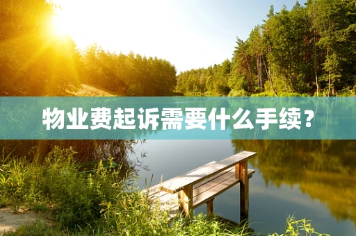 物业费起诉需要什么手续？
